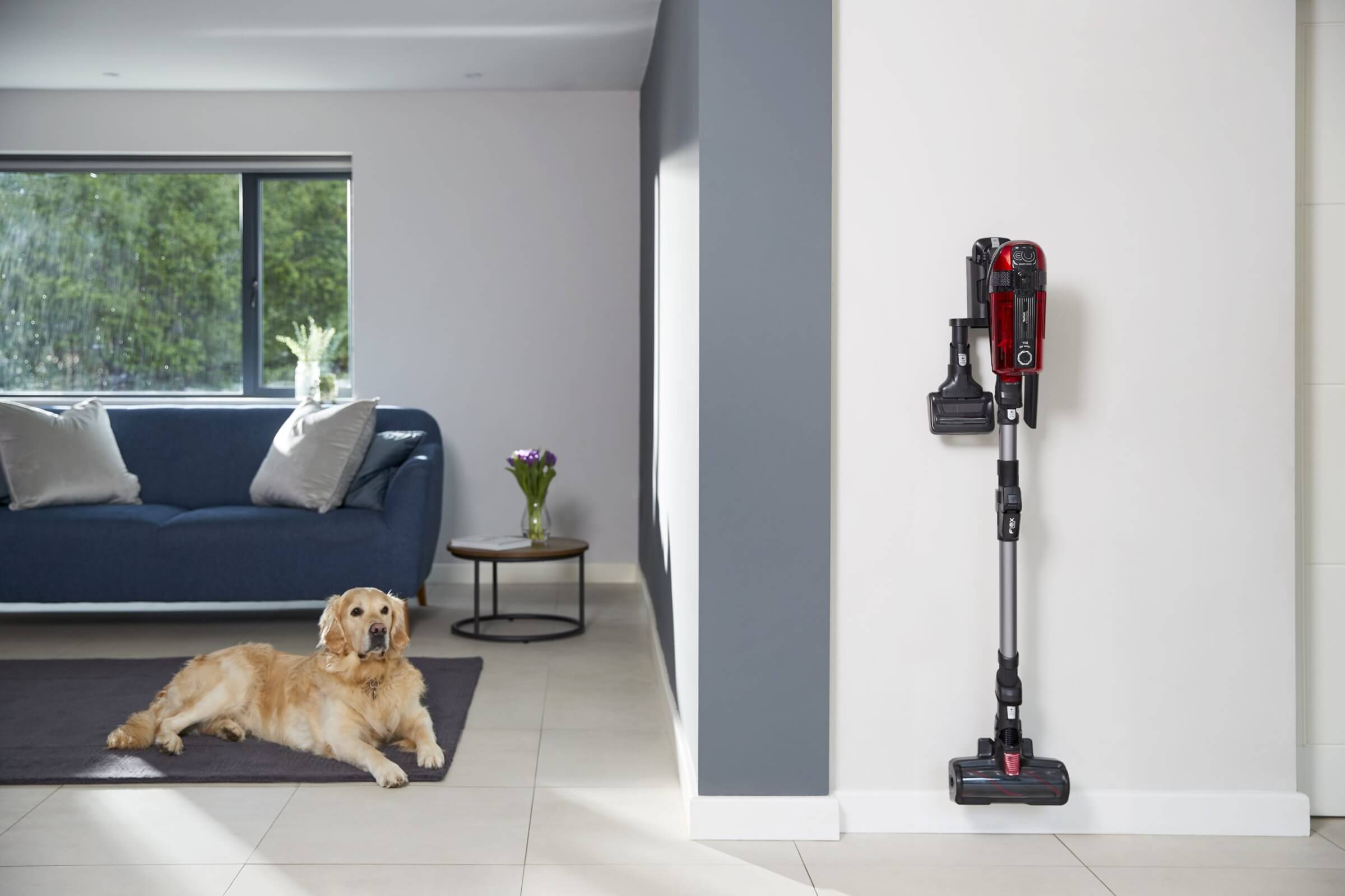 Tefal Hoover