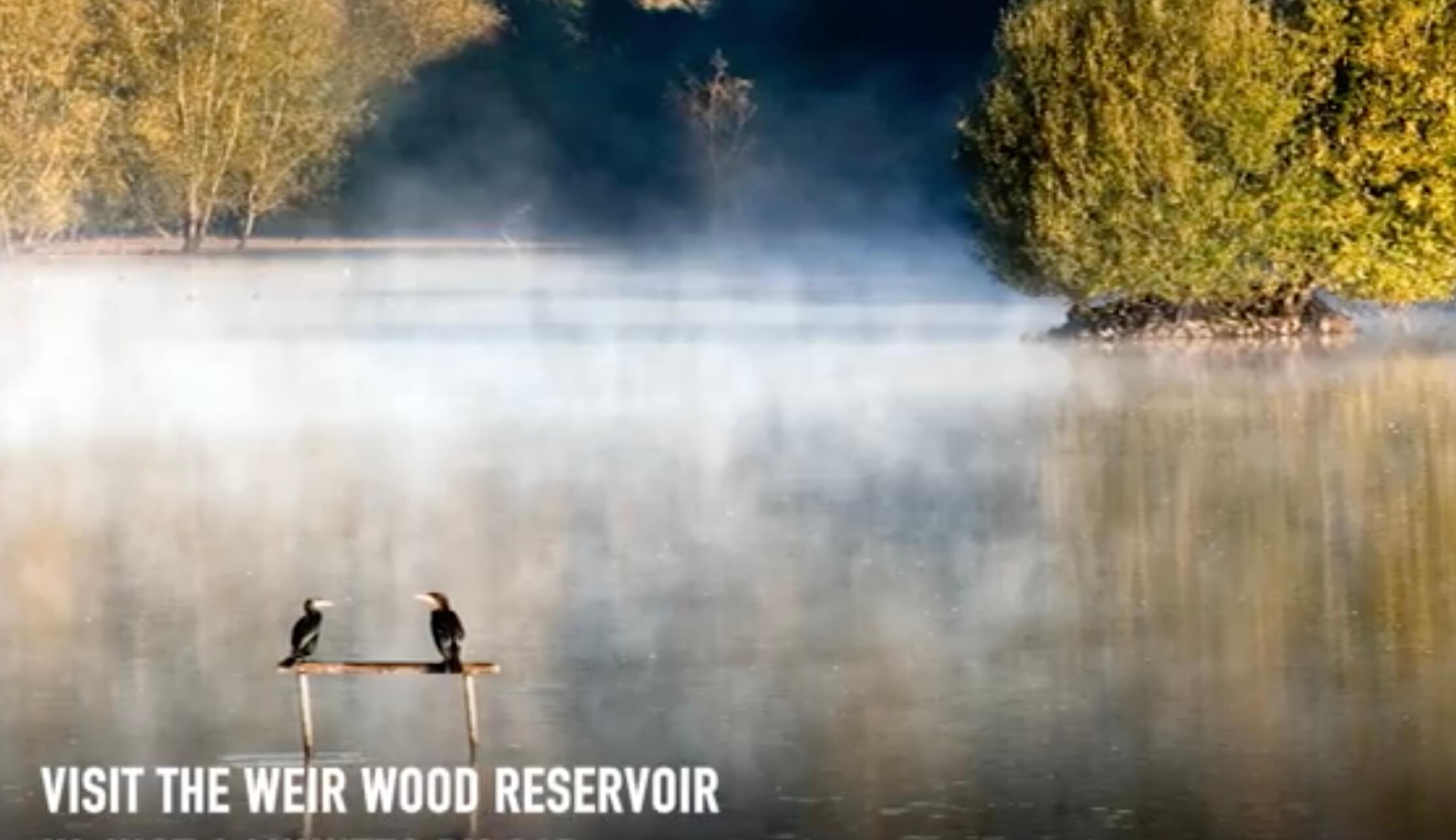 Weir Wood Reservoir