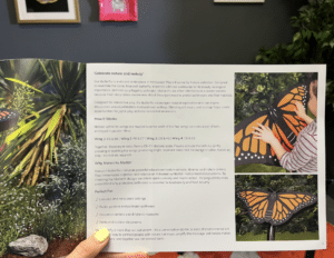A person holds a leaflet featuring images and descriptions of a butterfly-inspired musical sculpture. Alongside photos of butterfly wings outdoors, the text draws parallels between creative art installations and engaging Outdoor Cooking Videos.